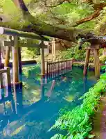 鹿島神宮(茨城県)