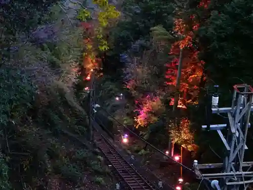 大山阿夫利神社の景色