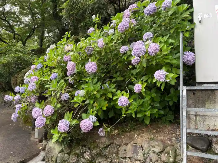 長谷寺(奈良県)