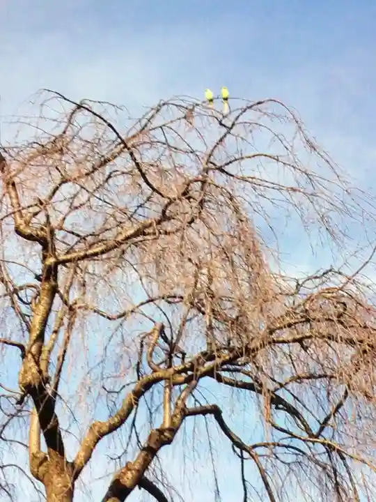 圓照寺(東京都)
