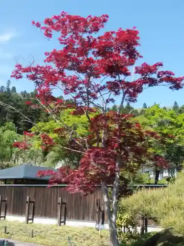 南湖神社の自然