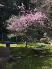 瑞源寺の庭園