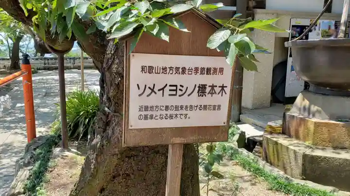 金剛宝寺(紀三井寺)の自然