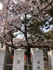 荒井神社の自然