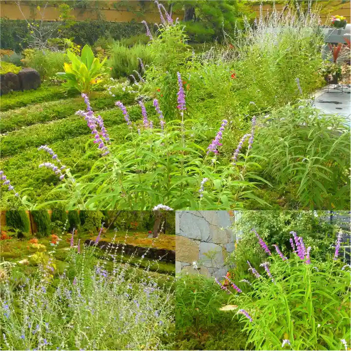 寿量山 速成寺(奈良県)