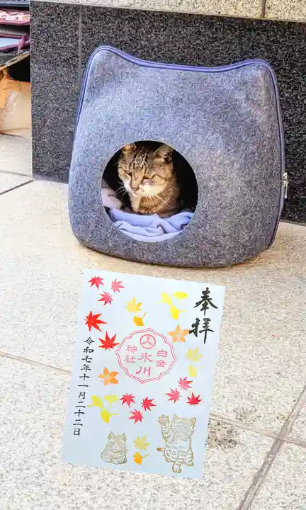 白金氷川神社の御朱印