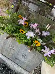 國魂神社の手水