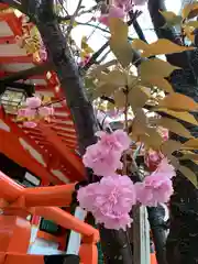 生田神社(兵庫県)