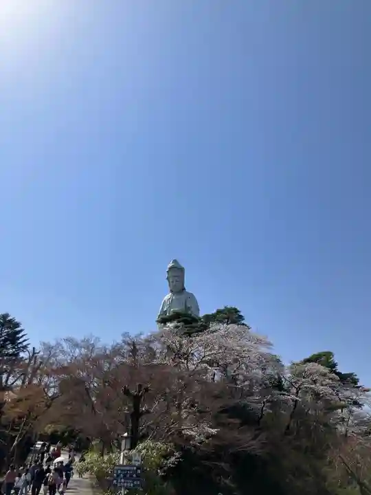 観音山慈眼院(高崎観音)(群馬県)