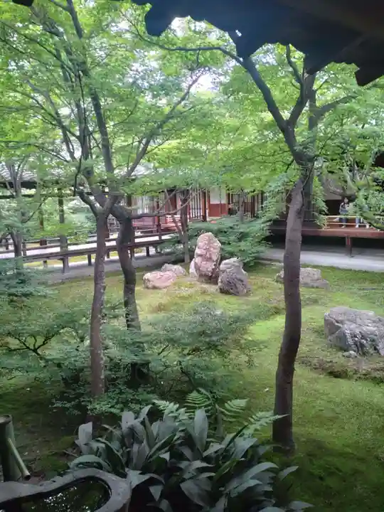 建仁寺(建仁禅寺)の庭園