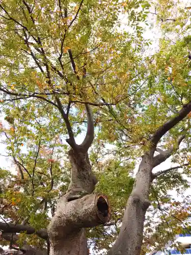 阿邪訶根神社(福島県)