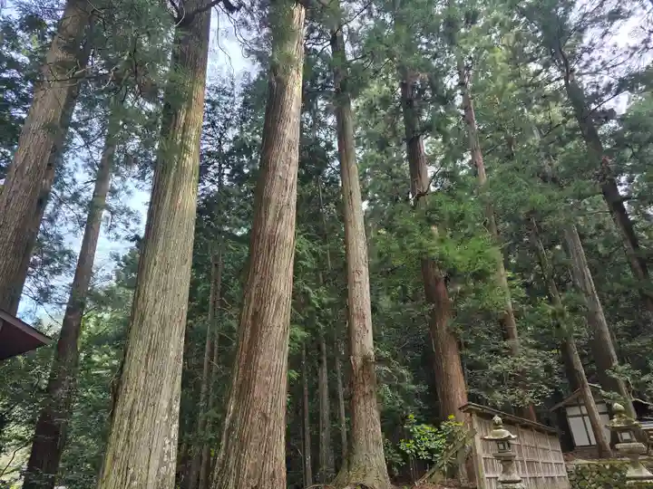 室生龍穴神社(奈良県)