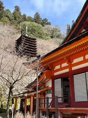 談山神社(奈良県)
