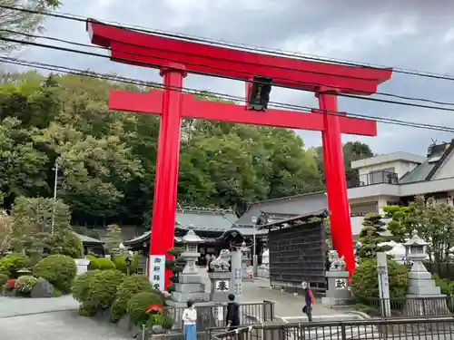 武州柿生琴平神社の鳥居