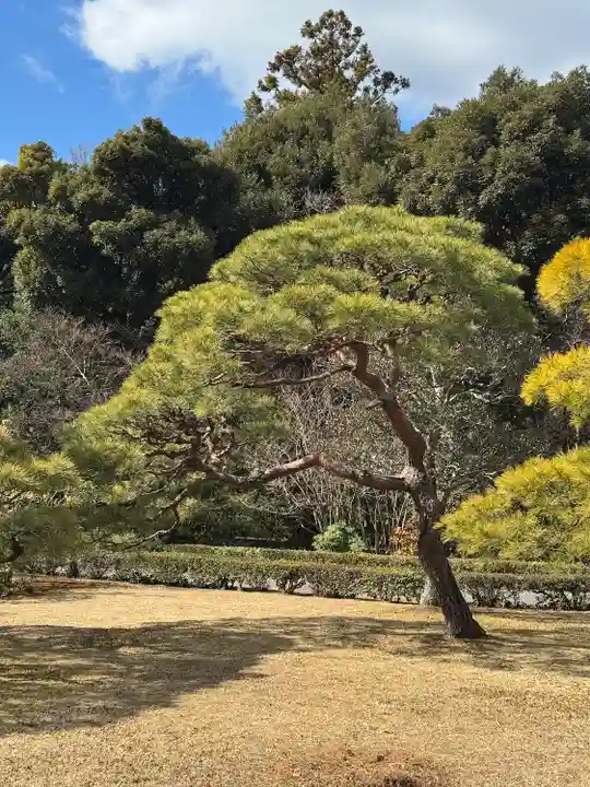 伊勢神宮内宮(皇大神宮)(三重県)