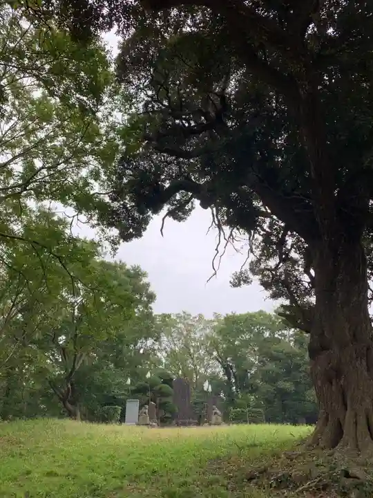 坂戸神社(千葉県)