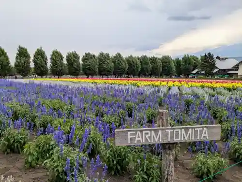 富良野神社の周辺