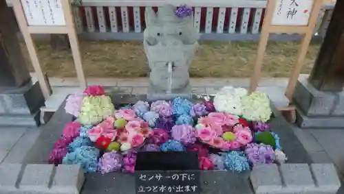 新川皇大神社の手水