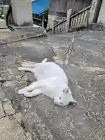 羽黒神社の御朱印
