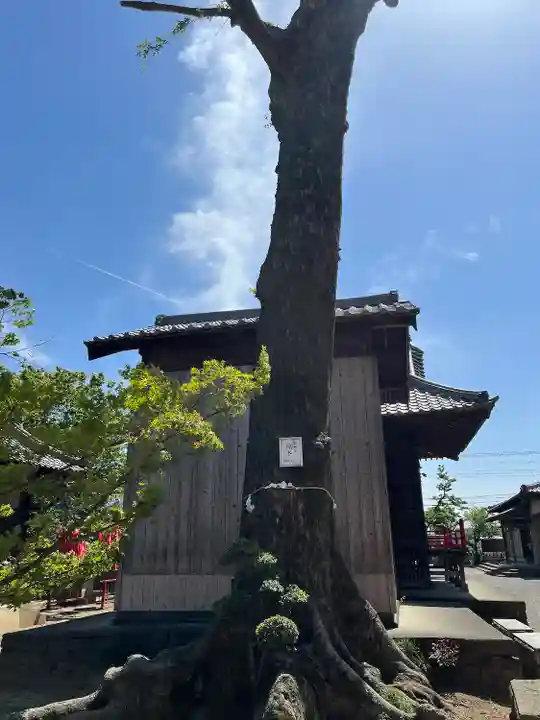 豊武神社(群馬県)
