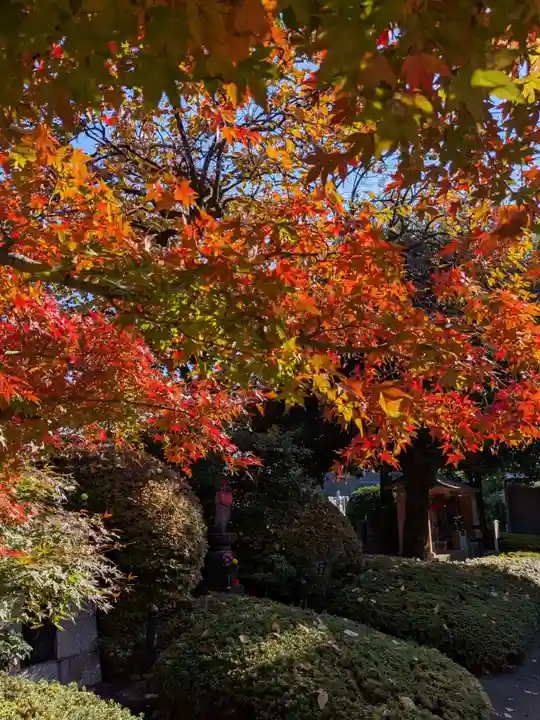 福蔵院(東京都)