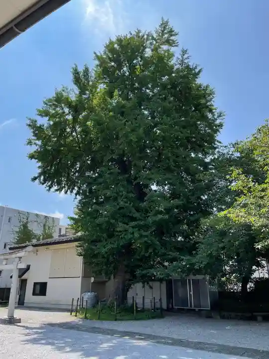 中曽根神社の自然