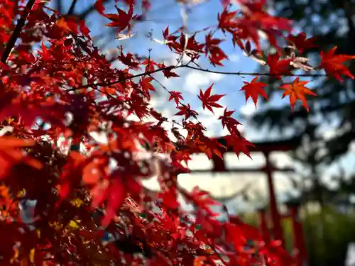 生島足島神社(長野県)