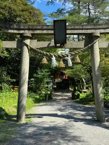 金澤神社の鳥居