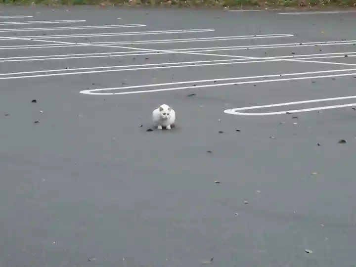 天岩戸神社(宮崎県)