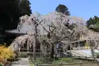 太山寺(栃木県)