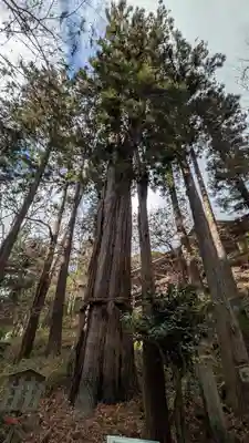 石山寺(滋賀県)