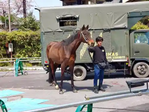 大神神社の{uncategorized: "未分類", other: "その他", undefined: "問題あり", building: "その他建物", grave: "お墓", sacred_gate: "鳥居", guardian: "狛犬", statue: "像", buddha: "仏像", history: "歴史", nature: "自然", garden: "庭園", animal: "動物", pagoda: "塔", temizu: "手水舎", mountain_gate: "山門・神門", sanctuary: "本殿・本堂", subordinate: "末社・摂社", art: "芸術", scenery: "景色", jizo: "地蔵", ema: "絵馬", goshuin: "御朱印", omikuji: "おみくじ", items: "授与品その他", amulet: "お守り", goshuincho: "御朱印帳", eats: "食事", festival: "お祭り", votive_dance: "神楽", shichigosan: "七五三参", wedding: "結婚式", experience: "体験その他", initially: "初詣", around: "周辺", anti_infection: "感染症対策"}