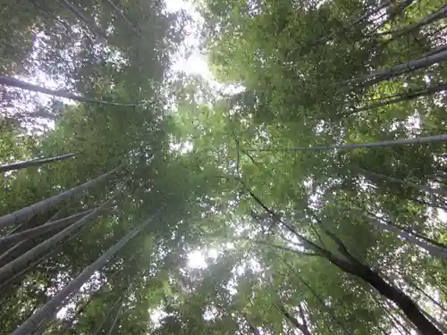 野宮神社の自然