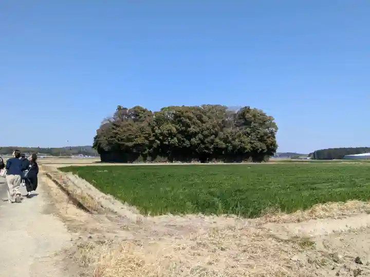朽羅神社(皇大神宮摂社)の{uncategorized: "未分類", other: "その他", undefined: "問題あり", building: "その他建物", grave: "お墓", sacred_gate: "鳥居", guardian: "狛犬", statue: "像", buddha: "仏像", history: "歴史", nature: "自然", garden: "庭園", animal: "動物", pagoda: "塔", temizu: "手水舎", mountain_gate: "山門・神門", sanctuary: "本殿・本堂", subordinate: "末社・摂社", art: "芸術", scenery: "景色", jizo: "地蔵", ema: "絵馬", goshuin: "御朱印", omikuji: "おみくじ", items: "授与品その他", amulet: "お守り", goshuincho: "御朱印帳", eats: "食事", festival: "お祭り", votive_dance: "神楽", shichigosan: "七五三参", wedding: "結婚式", experience: "体験その他", initially: "初詣", around: "周辺", anti_infection: "感染症対策"}