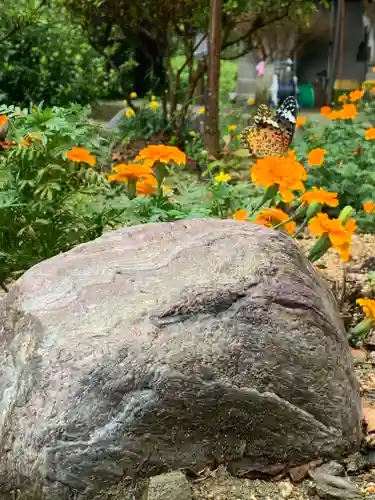 川田八幡神社の自然