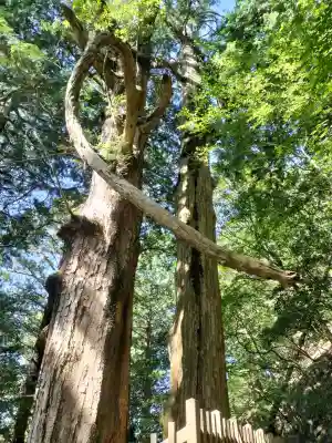 玉置神社の{uncategorized: "未分類", other: "その他", undefined: "問題あり", building: "その他建物", grave: "お墓", sacred_gate: "鳥居", guardian: "狛犬", statue: "像", buddha: "仏像", history: "歴史", nature: "自然", garden: "庭園", animal: "動物", pagoda: "塔", temizu: "手水舎", mountain_gate: "山門・神門", sanctuary: "本殿・本堂", subordinate: "末社・摂社", art: "芸術", scenery: "景色", jizo: "地蔵", ema: "絵馬", goshuin: "御朱印", omikuji: "おみくじ", items: "授与品その他", amulet: "お守り", goshuincho: "御朱印帳", eats: "食事", festival: "お祭り", votive_dance: "神楽", shichigosan: "七五三参", wedding: "結婚式", experience: "体験その他", initially: "初詣", around: "周辺", anti_infection: "感染症対策"}