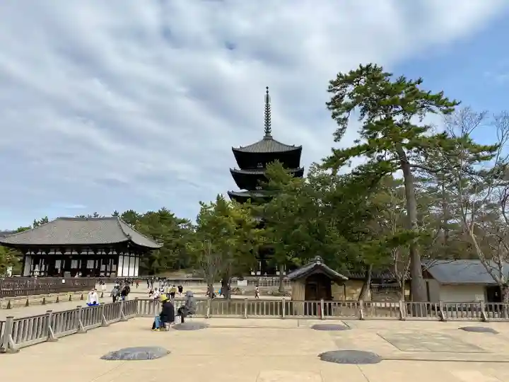 興福寺(奈良県)