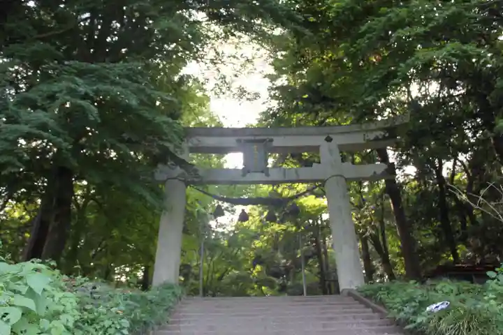 宝登山神社(埼玉県)