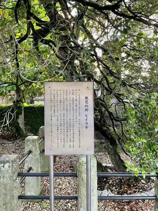清巌寺(栃木県)
