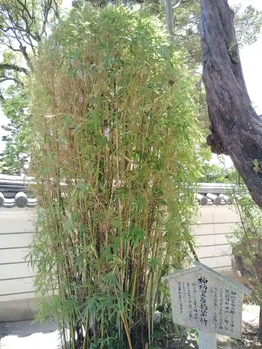 福祥寺(須磨寺)(兵庫県)