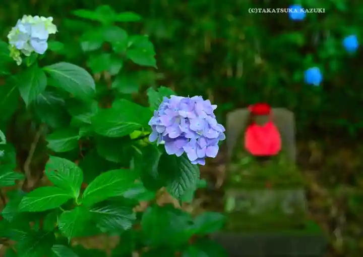 高幡不動尊 金剛寺(東京都)