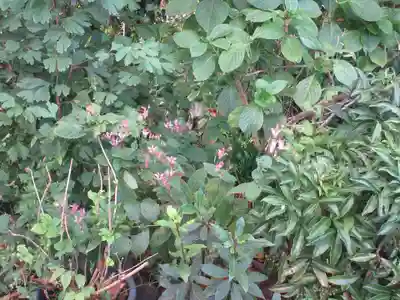 城山富士浅間神社(静岡県)