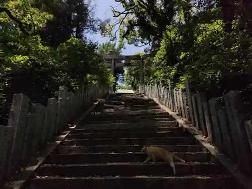 若松白山神社(福岡県)