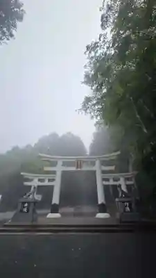 三峯神社(埼玉県)