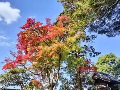 矢田天満宮(京都府)
