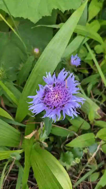 桂昌寺(岐阜県)