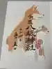 今泉八坂神社の御朱印