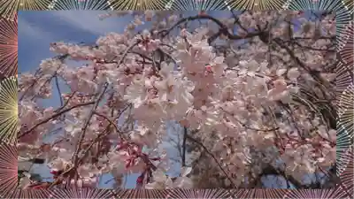 境香取神社(茨城県)