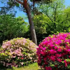 霊犬神社の自然