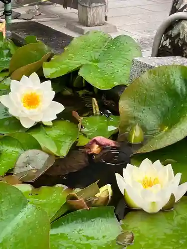 真言宗　善通寺派　薬王寺(香川県)